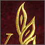 Логотип на пледе из бархата