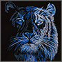 Синий тигр вышивка