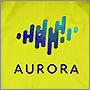 Вышивка логотипа Aurora на спине куртки
