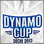 Вышивка на толстовке Dynamo Cup