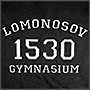 Вышивка на толстовке LOMONOSOV GYMNASIUM 1530