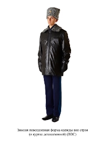 Зимняя повседневная форма одежды вне строя, в демисезонной куртке - для ВВС