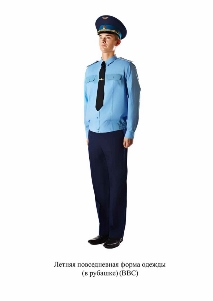 Летняя повседневная форма одежды в рубашке - для офицеров ВВС